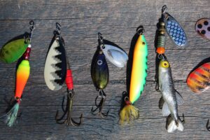 A selection of artificial Coarse Fishing Bait
