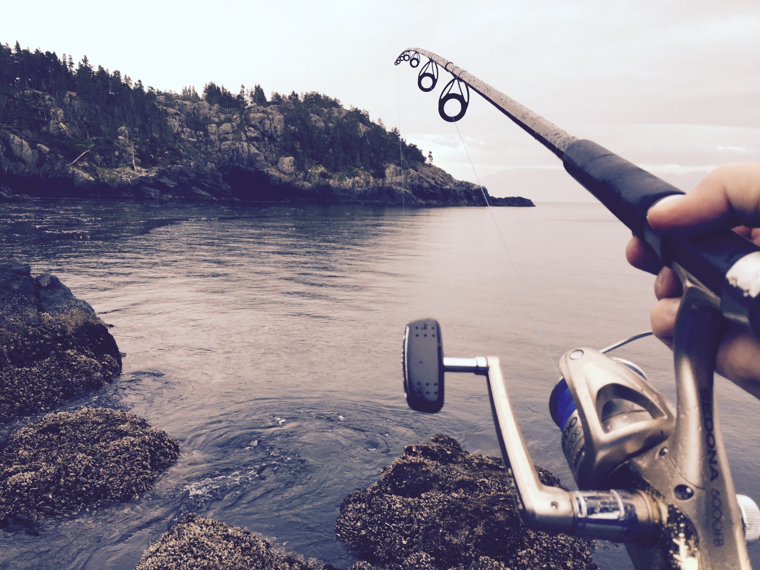 Coarse Fishing Reel pointing towards the water