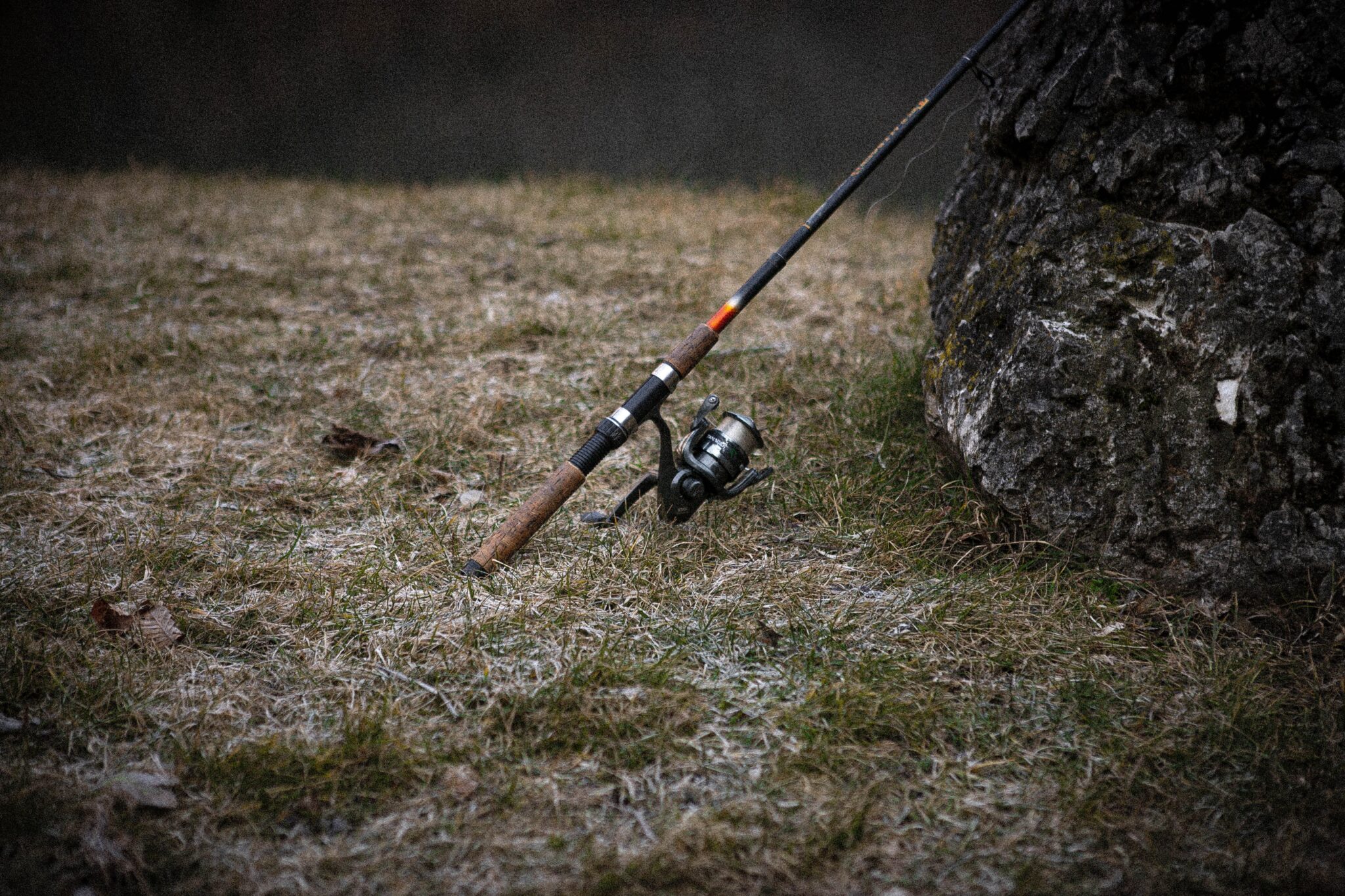 Coarse Fishing Rods An Essential Guide To Types, Parts, And Targeted