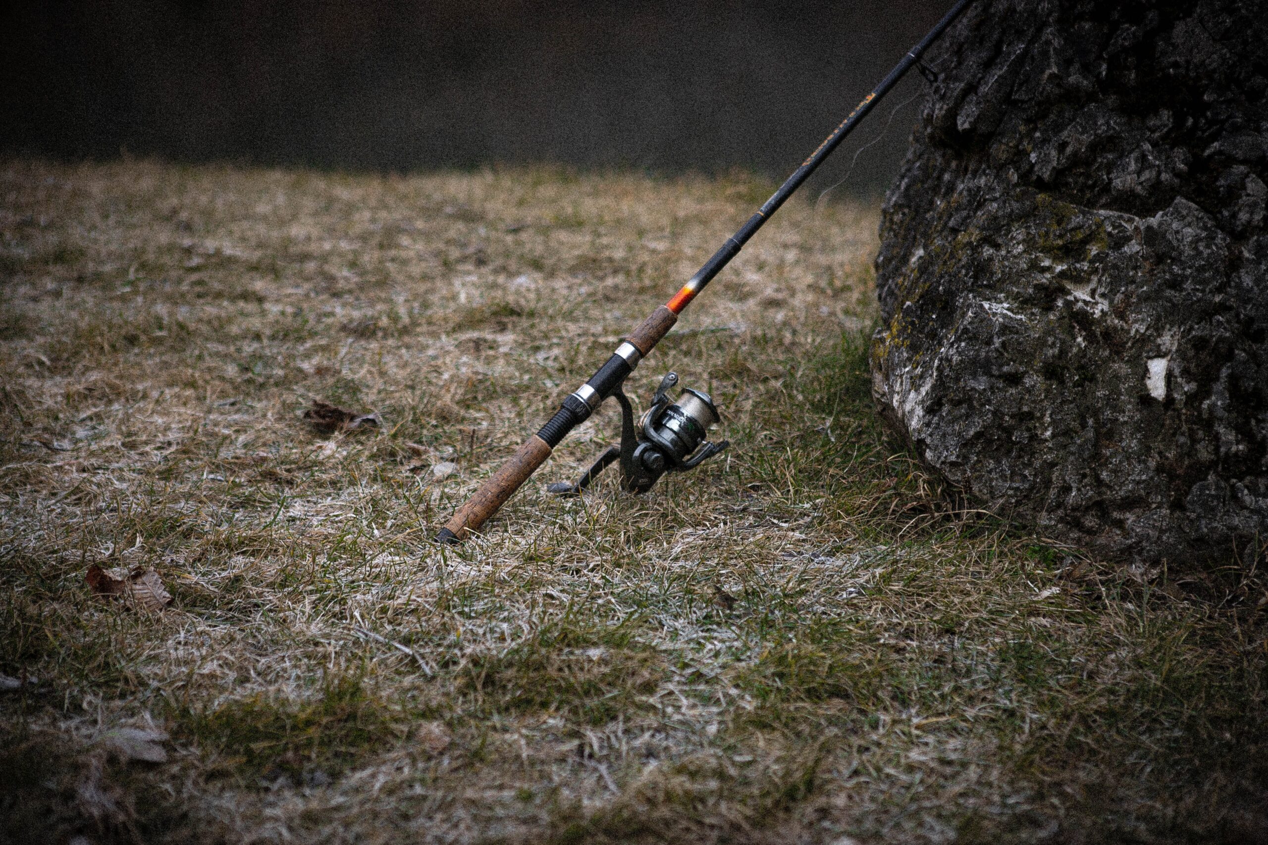 Coarse fishing rods learning against a rock