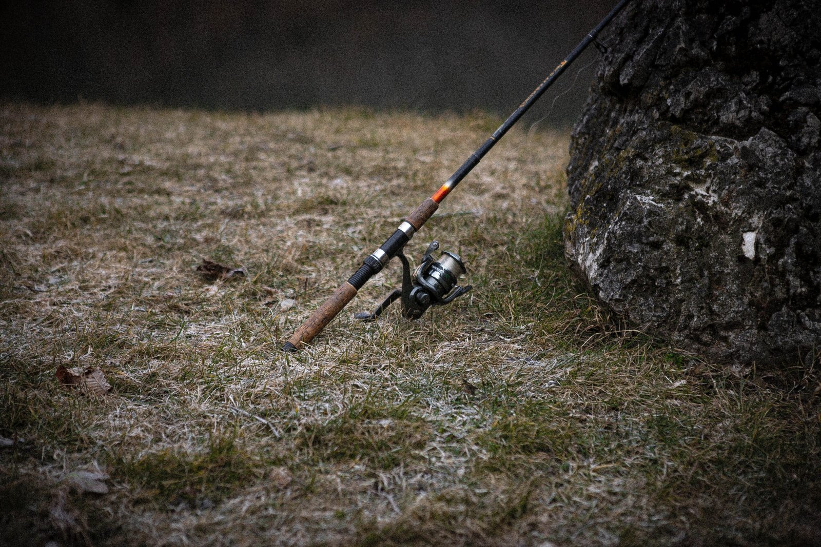 Coarse Fishing Rods An Essential Guide To Types Parts And Targeted 