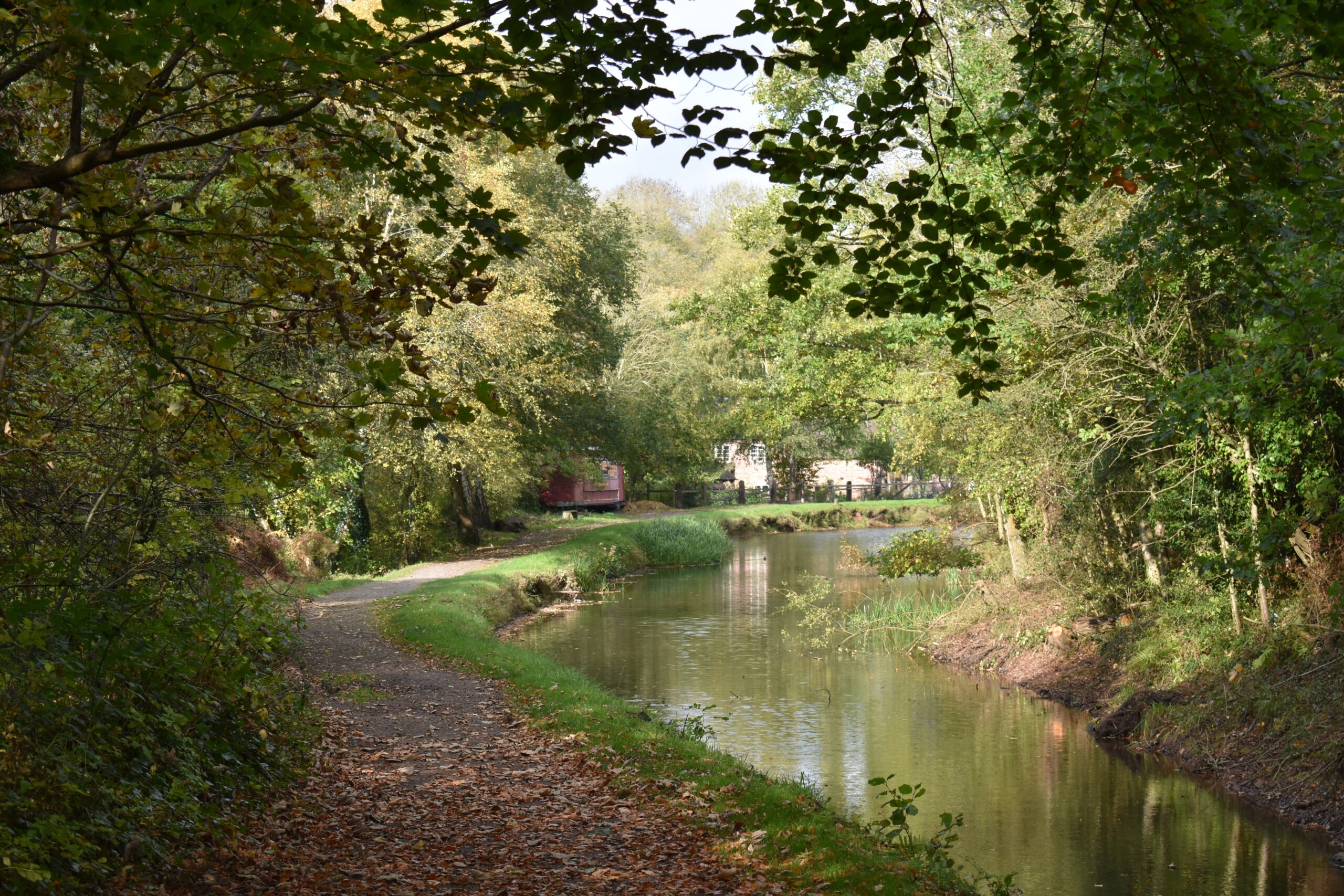 Fishing for Beginners - a picturesque scene of a Victorian canal