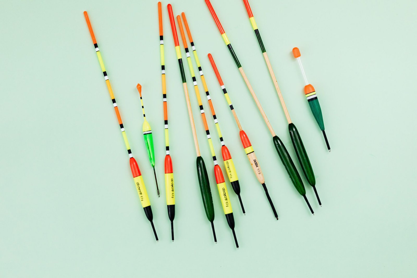 Coarse Fishing In The UK A Beginner s Guide To Equipment Fish Species 